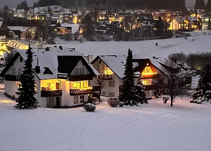 Welcome In - Appartement Met Balkon \'The Bear House\' Zur Postwiese 15, Neuastenberg-Winterberg